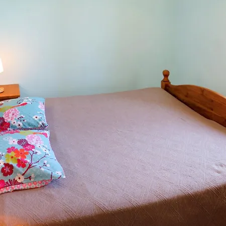 Tatil Evi Holiday Home Le Mas - Tdf400 *